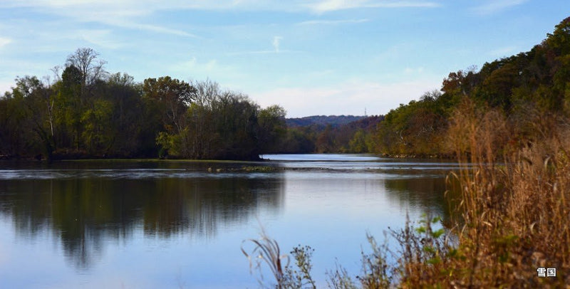 A Guide to Seven Islands State Birding Park