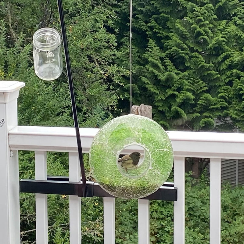 Bird Feeder,Wild Bird Feeders for Outside,Hanging Bird Feeder,Circle Glass Birdfeeder, Bird Feeders for Garden Yard Decoration, Green Circle