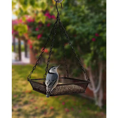 Hanging Bird Feeder with Mesh Seed Tray in Black