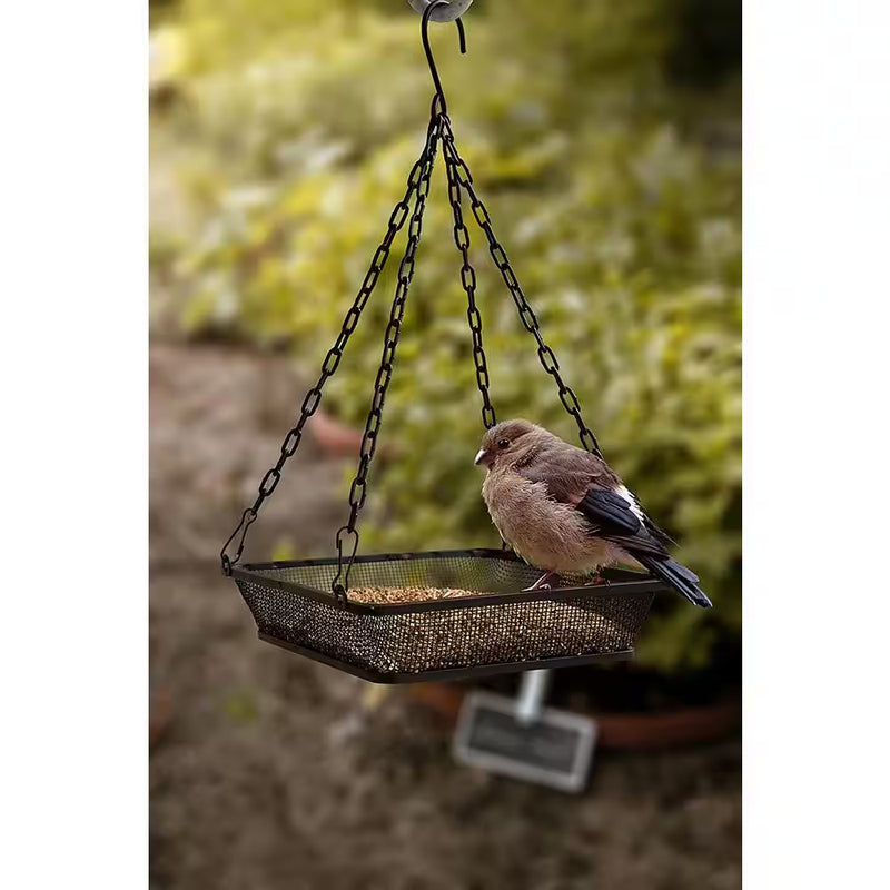 Hanging Bird Feeder with Mesh Seed Tray in Black