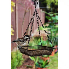 Hanging Bird Feeder with Mesh Seed Tray in Black