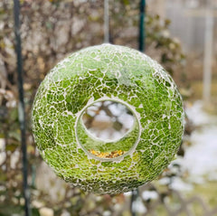 Bird Feeder,Wild Bird Feeders for Outside,Hanging Bird Feeder,Circle Glass Birdfeeder, Bird Feeders for Garden Yard Decoration, Green Circle