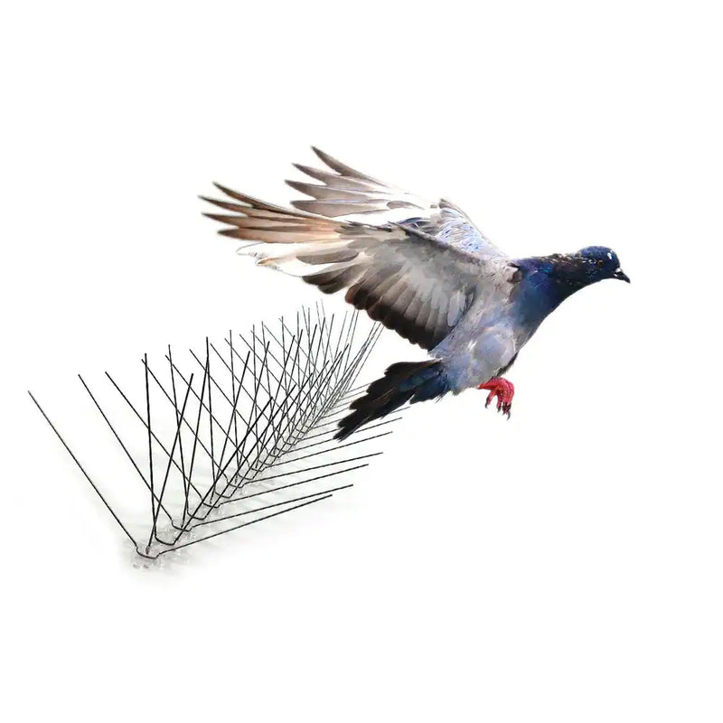 "10-Foot Stainless Steel Bird Spikes for Pigeons, Starlings, Blackbirds, and Seagulls - 6-Inch Coverage"