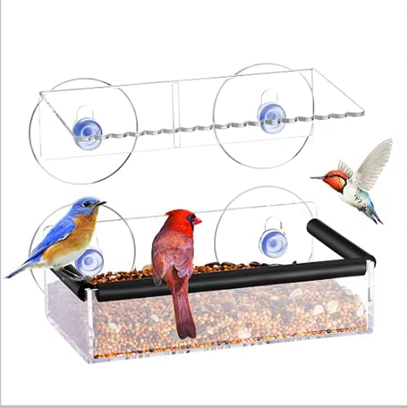 Outdoor Acrylic Bird Feeder with Secure Suction Cups and Removable Seed Rack